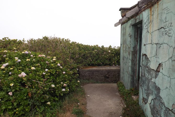Scenic Blue Mountain Hike From Kingston - Coffee Farm Experience