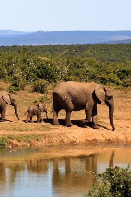 Scenic Sri Lanka 5 Days Tour - Booking and Cancellation Policy