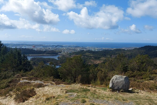 Scenic Tour to Steinsfjellet, Locals at Kringsjå & Rising Tide - Highlights of the Tour