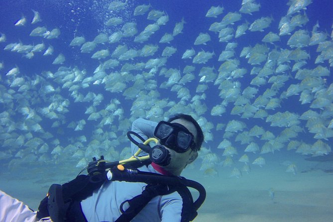Scuba Diving - Physical Fitness and Participant Information