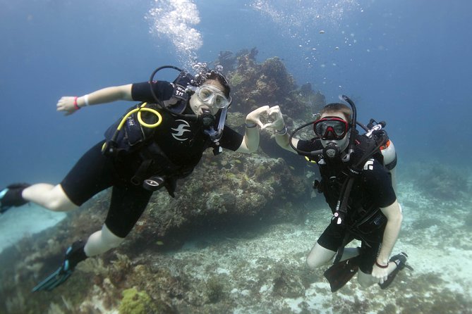 Scuba Diving at MUSA the Underwater Museum for Certified Divers - Highlights of the Dive