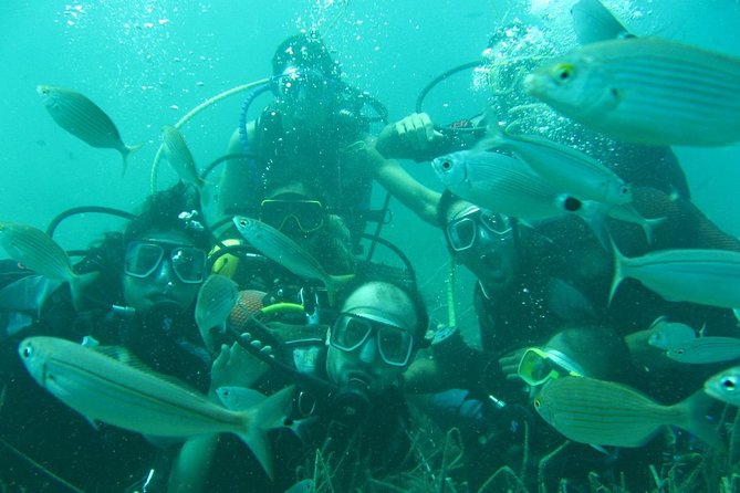 Scuba Diving From Bodrum - Reviews and Feedback