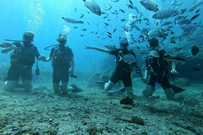 Scuba Diving in Fujairah With Private Transfers - Tips for Your Diving Adventure