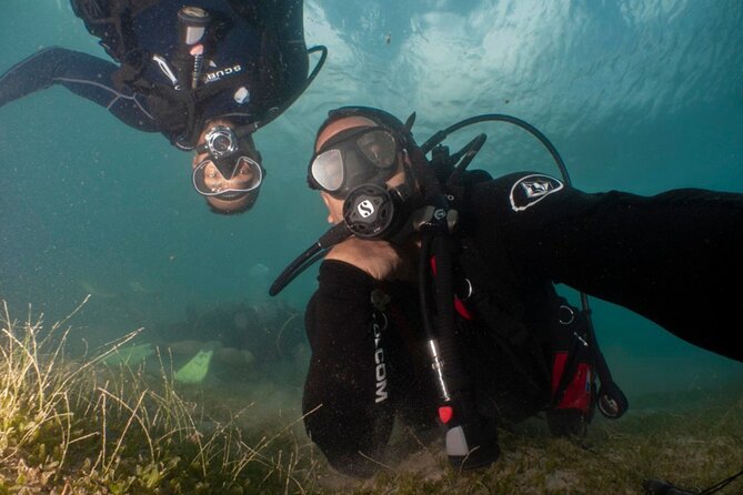 Scuba Tour for Certified Divers in San Juan - Pricing and Booking