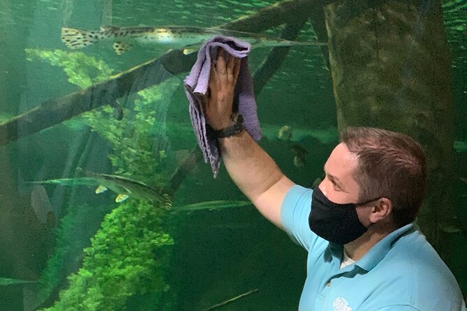 SEA LIFE Aquarium Minnesota Admission Ticket at Mall of America - Negative Visitor Feedback