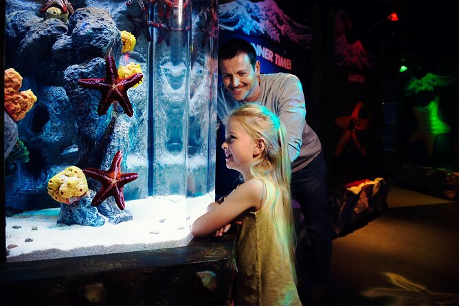 Sea Life Charlotte Concord Aquarium Admission Ticket - Family-Friendly Experiences for Children
