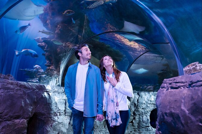 SEA LIFE Orlando Aquarium - Visitor Feedback and Ratings