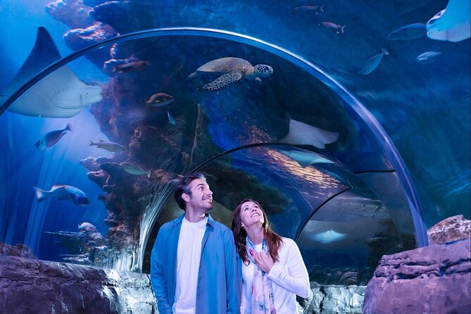 SEA LIFE San Antonio Admission Ticket - Interactive and Educational Features