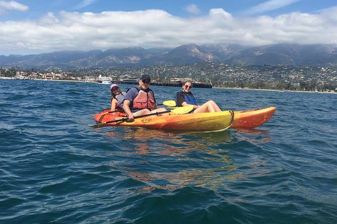 Sea Lion Kayak Tour - Santa Barbara Harbor - Pricing and Booking Options