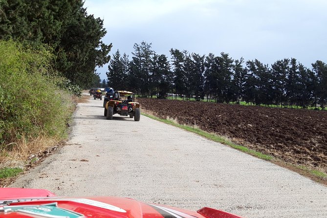 Self Drive Buggy Safari at Aphrodites Rock in Paphos - Safety Precautions