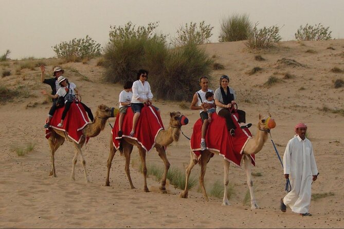 Self Drive Dune Buggy With Sandboarding and Camel Ride - Booking Information