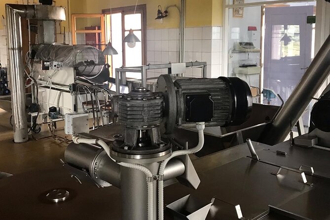 Semi- Private Olive Grove and Oilve Mill With Olive Oil Tastings - Cancellation and Payment Policy