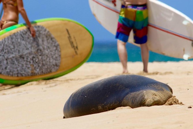 Semi-Private Surf Lesson - Booking Process
