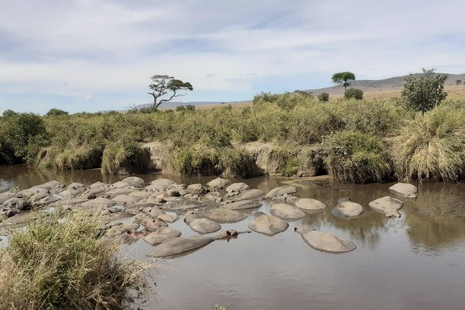 SERENGETI NATIONAL PARK Tour - Frequently Asked Questions