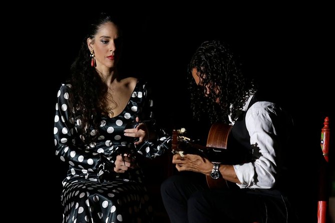Seville Pure Flamenco Tour - Tour Suitability