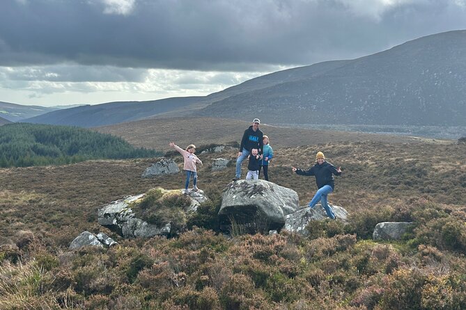 Sheepdogs in the Countryside, Authentic Dubliners City Tour Combo - Exploring Wicklows Countryside