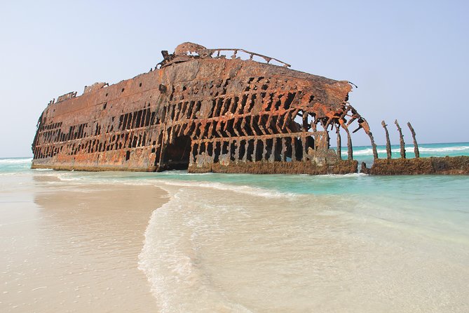 Shipwreck Cabo Santa Maria - Traveler Experiences and Feedback