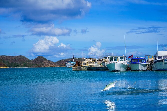 Shore Excursion: City of St Johns Sightseeing Tour - Tour Highlights