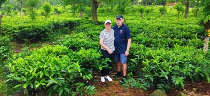 Shore Excursion From Colombo Port Ceylon Tea Experience. - Cancellation Policy