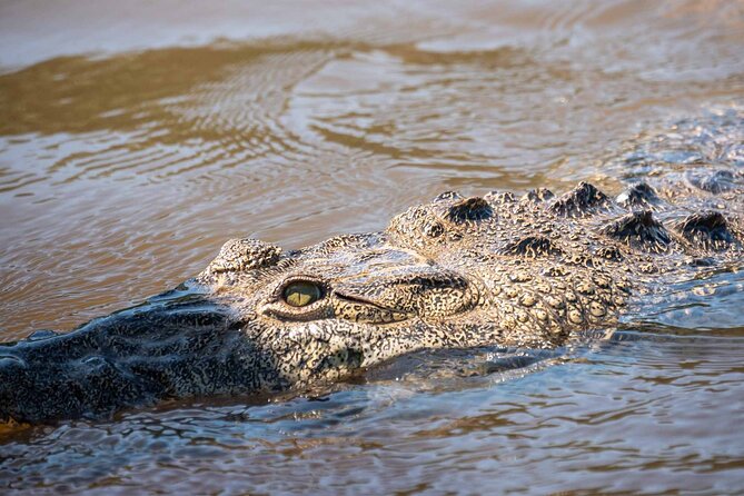 Sian Kaan Boat Tour: Full Day Experience - Booking and Confirmation