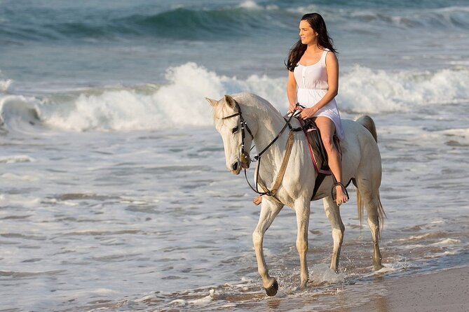 Side Horse Riding Review: Beach and Forest Experience - Booking and Contact
