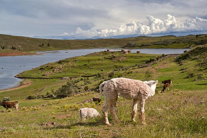 Sillustani Tombs Excursion - Exploring Sillustani Tombs
