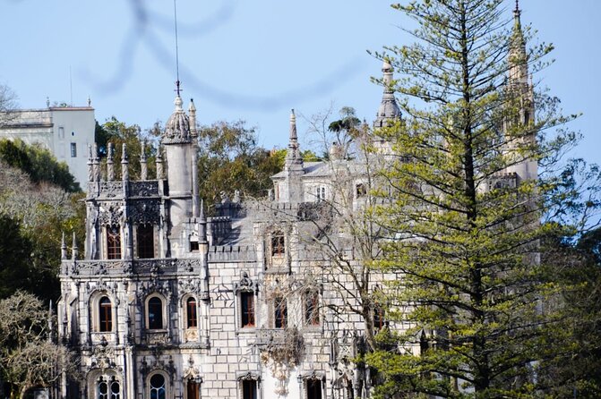 Sintra Palaces and Forest Private Tour - Practical Information
