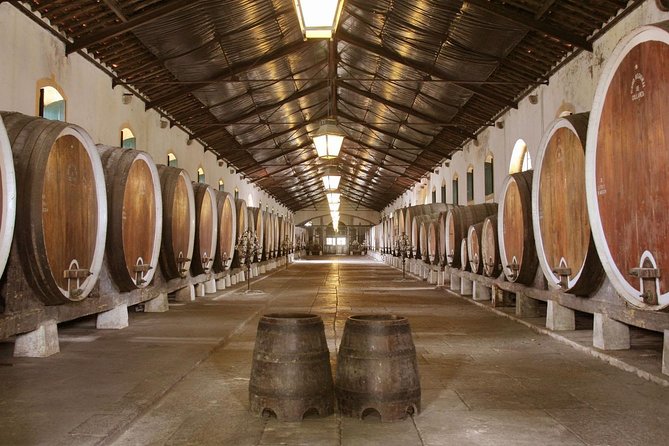 Sintra, Pena Palace and Wine Tasting Review - Wine Tasting Delight