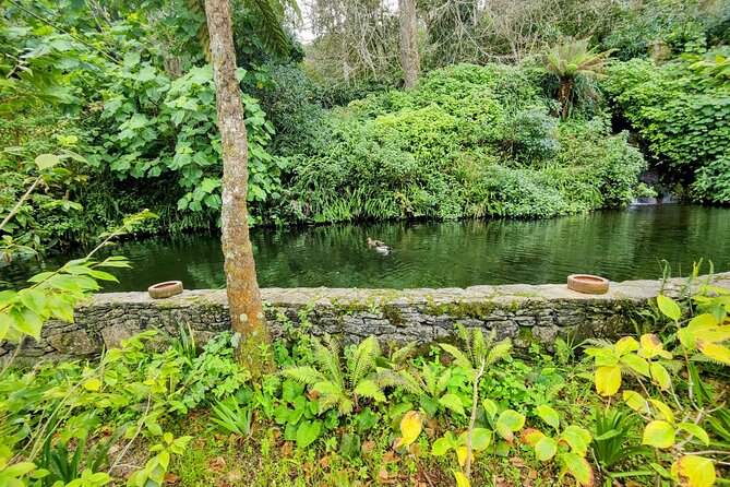 Sintras Mystical Palaces: Private Walking Tour - Discovering Quinta Da Regaleira