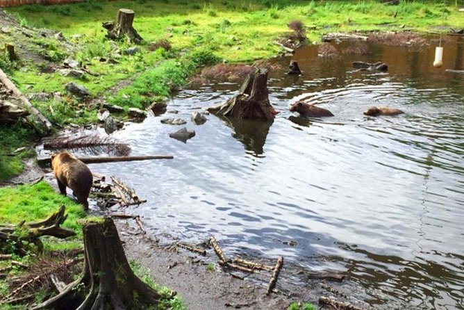 Sitka Shore Excursion: Bears, Raptor Center, & Totem Park Tour (Small Group) - Local History and Commentary