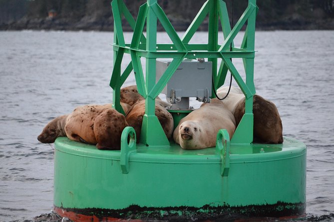 Sitka Shore Excursion: Whale-Watching and Marine Life Tour - Learning From the Captain