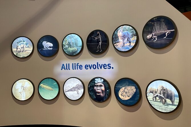 Skip-the-Line Private Field Museum of Natural History Guided Tour - Recommendations and Reviews