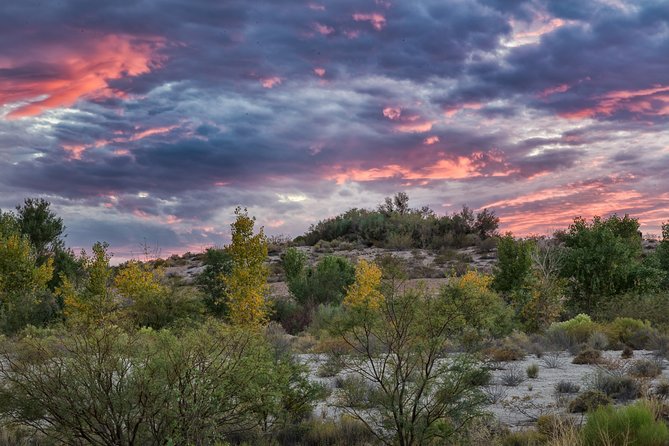 Skip the Line: Springs Preserve in Las Vegas Admission Ticket - Discovering the Botanical Garden