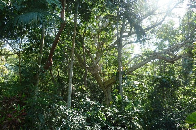 Skip the Line: Vallarta Botanical Garden Admission Ticket - What to Bring