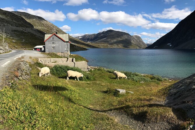 Sky to Fjord Geiranger Downhill Biking Adventure - Experiences From Previous Travelers