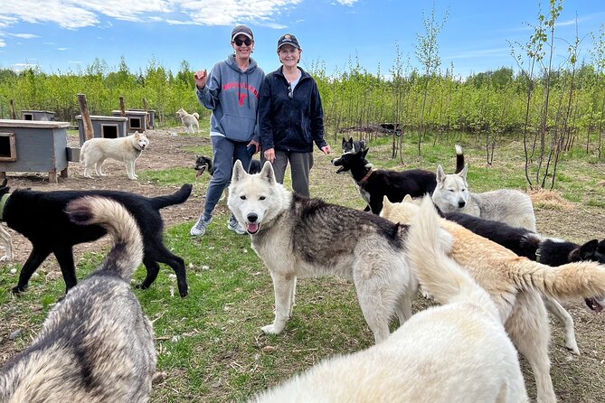 Sled Dog Kennel Tour - Pricing and Payment Options