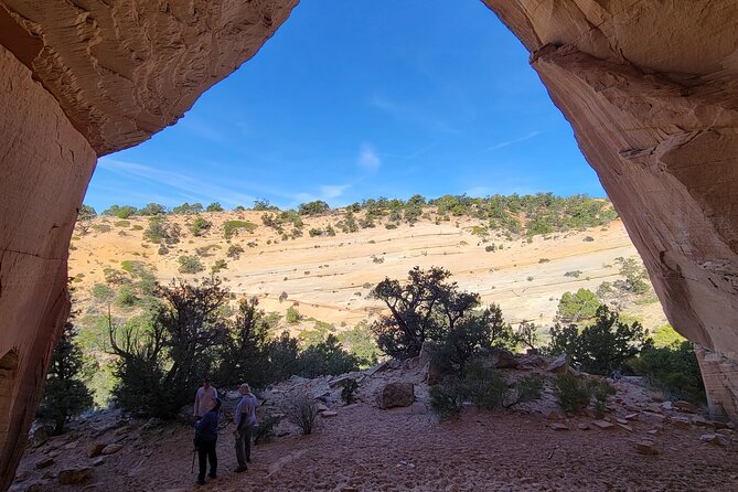 Slot Canyon & Native American Site UTV Adventure (Private) - Unique Features and Activities