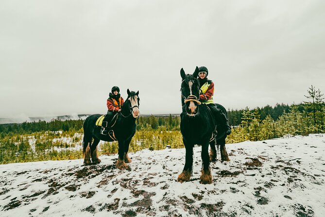 Small-Group Arctic Circle Horse Riding From Rovaniemi - Arctic Forest Horse Riding