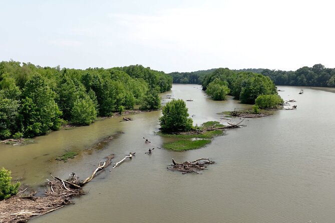 Small Group Clear Kayak Tour of Old Hickory Lake - Traveler Experiences