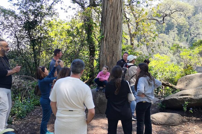 Small Group FULL DAY PRIVATE TOUR Sintra + Cascais+Roca Cape - Tour Features