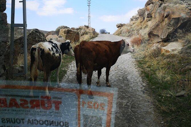 Small-Group Green Tour (South Tour) (PRİVATE TOUR) - Booking Information