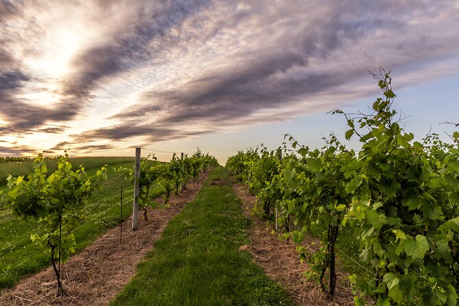 Small-Group Vineyard and Orchard Tour With Wine Tasting in Muscoda - Exploring Muscoda, Wisconsin