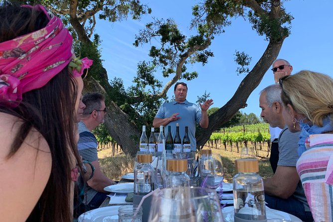 Small-Group Wine Tasting Tour of Santa Barbara Wine Country - Sustainability Considerations
