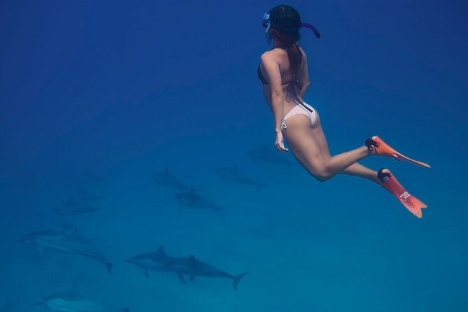 Snorkel at The Dolphin House Adventure In Hurghada - Tips for a Memorable Excursion