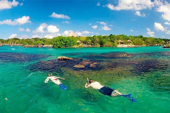 Snorkel, Breakfast, Buffet, Drinks, Xel-ha All Included! - Discovering The Meliponario and Nursery