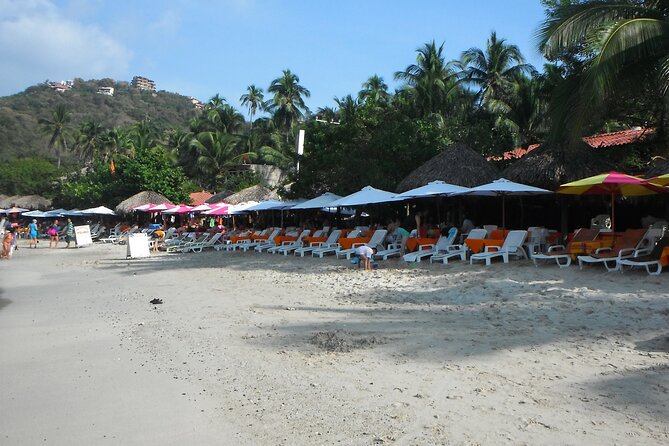Snorkel Tour in Las Gatas Water Break - Traveler Reviews