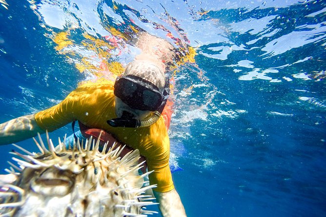 Snorkel Tour to Pelican Rock by Glass-Bottom Boat With Souvenir Photos - Optional Side Trip