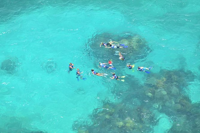 Snorkeling Adventure at Isla Mujeres Includes Lunch and Open Bar - Beach Club and Lunch Buffet