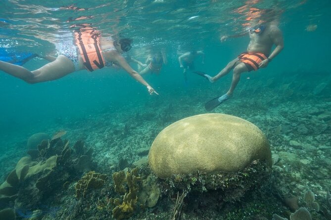 Snorkeling in Puerto Morelos With a Certified Guide! - Negative Experiences and Responses