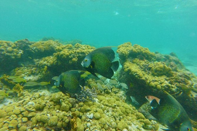 Snorkeling Tour (with Light Refreshments) - Cancellation Policy